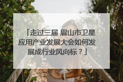 走过三届 眉山市卫星应用产业发展大会如何发展成行业风向标？